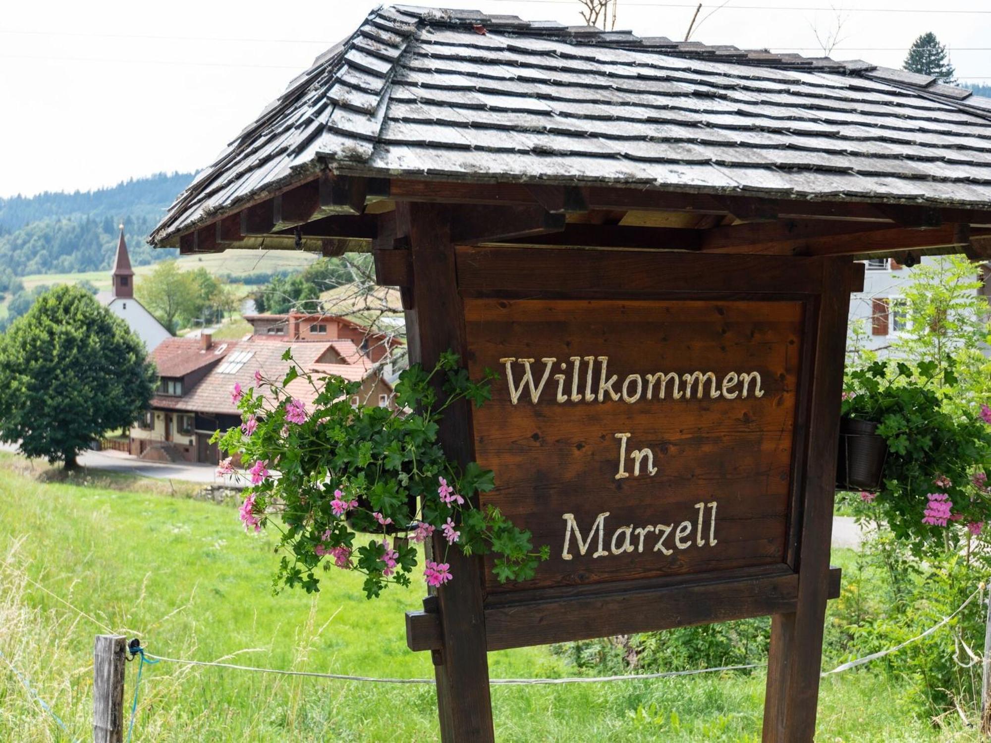 Apartment In Malsburg Marzell With Private Garden Exteriör bild
